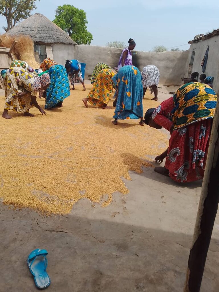 Asakoob Women Group,Tilli