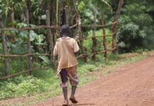 Conflict, poverty and disability driving children into care homes, officials say