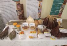 Beela Project warns decline in indigenous seeds threatens food sovereignty in Northern Ghana