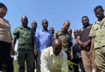 Talensi District Assembly plants trees to celebrate Green Ghana Day 2026